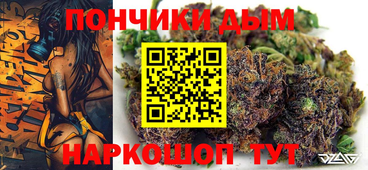 Бошки Шишки планчик Сорочинск